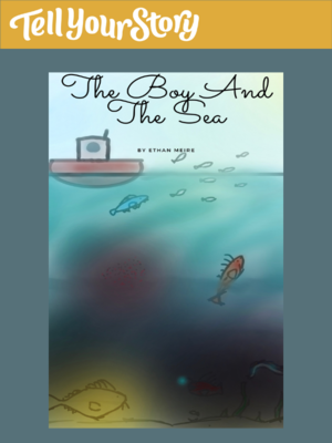 cover image of The Boy And The Sea